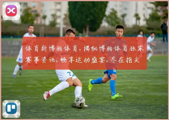 体育新博狗体育,揭秘博狗体育独家赛事资讯,畅享运动盛宴,尽在指尖