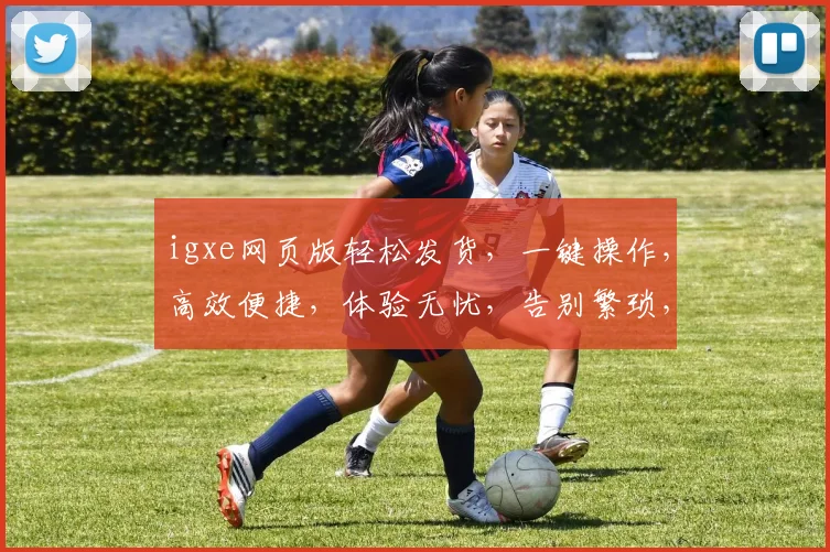igxe网页版轻松发货，一键操作，高效便捷，体验无忧，告别繁琐，快速发货新选择，三步搞定。
