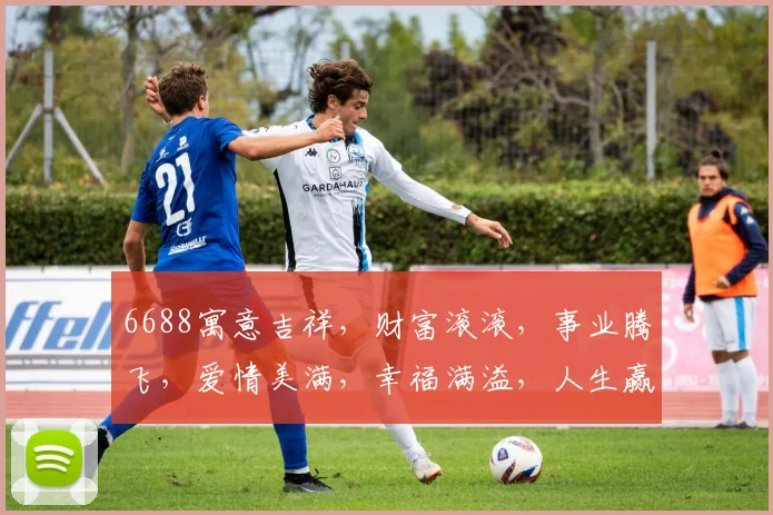 6688寓意吉祥，财富滚滚，事业腾飞，爱情美满，幸福满溢，人生赢家。