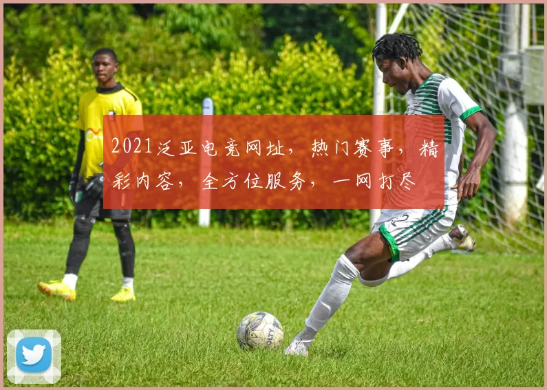 2021泛亚电竞网址，热门赛事，精彩内容，全方位服务，一网打尽